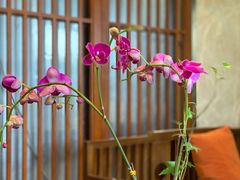 -颐而康·按摩·艾灸·足疗(武陵大道店)