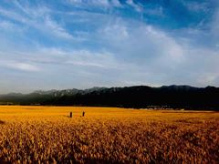 -秦岭风景区