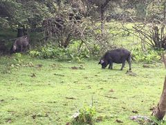 -硗碛藏寨·神木垒景区