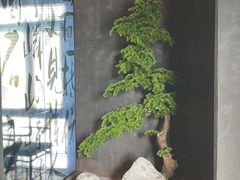 -双海潮·海鲜融合菜(如是海店)