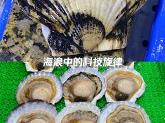 -海味当家·蒸锅海鲜(星海公园店)