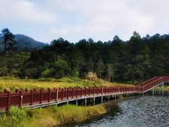 -海南热带雨林国家公园吊罗山景区