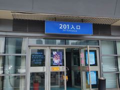 -奥体中心游泳馆
