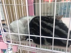 -全心全意连锁动物医院(石景山店)