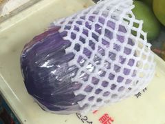 -打洛口岸
