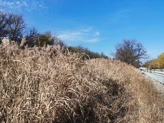 -元大都城垣遗址公园