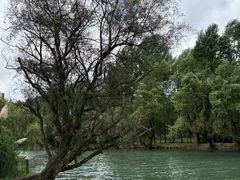 -贵阳市花溪国家城市湿地公园