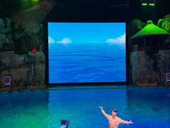 -芜湖新华联大白鲸海洋公园