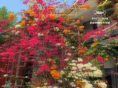 -深圳仙湖植物园
