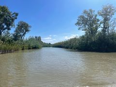 -泗洪洪泽湖湿地景区