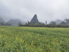 -靖西鹅泉风景区