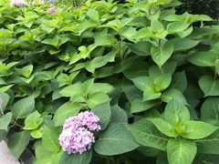 -方恒购物中心(望京小街店)