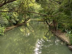 -同里国家湿地公园