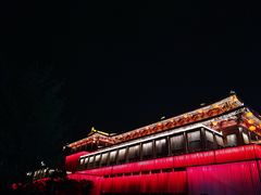 -维也纳国际酒店·西安大雁塔大唐不夜城店