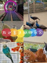 -萌宠亲子动物乐园(槐房万达店)