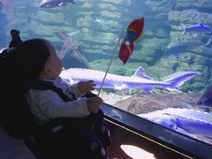 -江和美海洋公园
