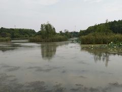 -昆山城市生态森林公园