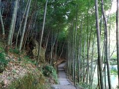 -祁门牯牛降观音堂风景区