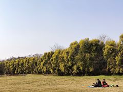 -白鹭湾湿地公园