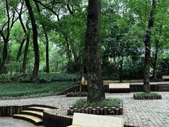 -晓港公园