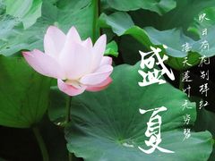 -龙头寺公园