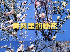 -龙湖星悦荟(颐和店)