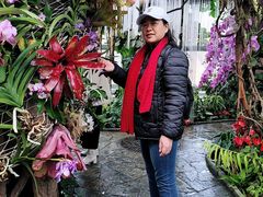 -国家植物园南园