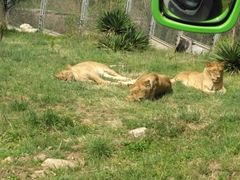 -西安秦岭野生动物园