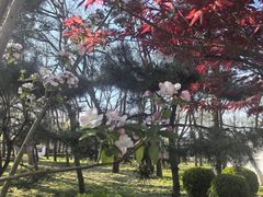 -元大都城垣遗址公园