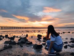 -宝安西湾红树林湿地公园