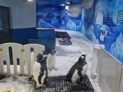 -重庆欢乐海底世界