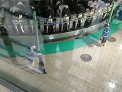 -君乐宝优致牧场
