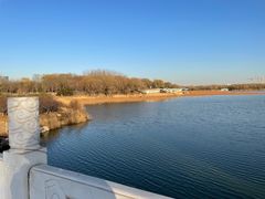 -大兴滨河森林公园