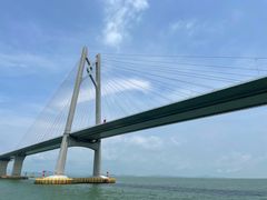 -招商蛇口邮轮母港(观光客运)