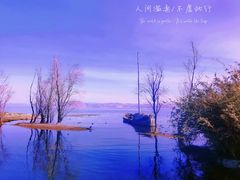 -洱海月湿地公园