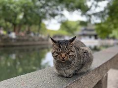 -西园寺