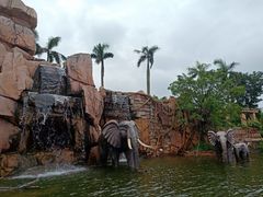 -美的鹭湖探索王国