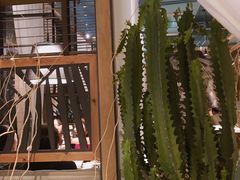 -生如夏花泰式火锅(鹭洲里店)