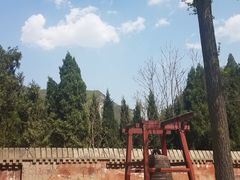 -青龙山生态文化旅游区(慈云寺)