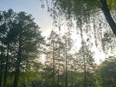 -高子水居