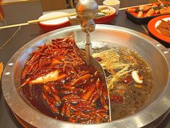 -蜀大侠火锅.川剧变脸(龙泉世茂店)