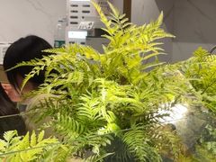 -绿茶餐厅(滨海万达广场店)
