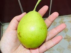 -盒马鲜生(联投广场店)
