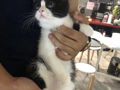 -SAH健身私教工作室(紫东店)