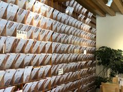 -猫的天空之城概念书店(丽江古城饮玉巷店)