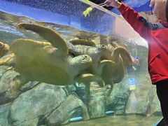 -福州罗源湾海洋世界旅游区