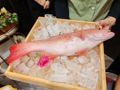 -礼遇和牛火锅料理·黑金店