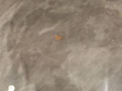-布歌东京(金融街购物中心店)