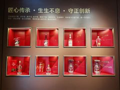 -上海浦东国际机场-T2航站楼
