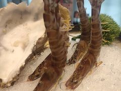 -澳门豆捞(裕华东路店)